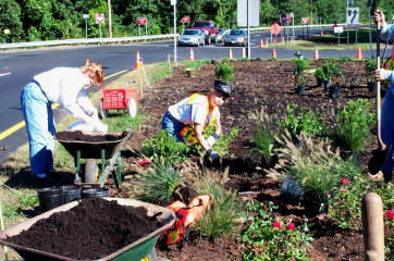 planting flower beds