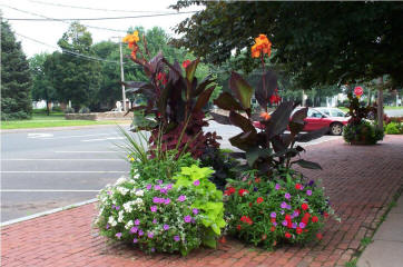 main street glastonbury CT