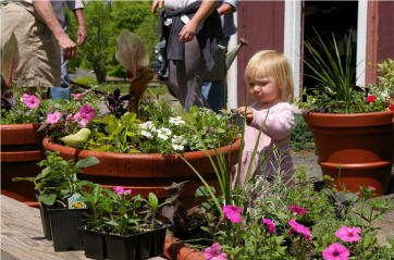 nursery planting CT